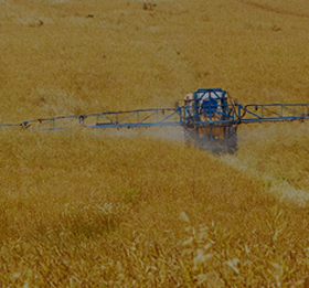 各种姿势玩小处雌女TXT视频